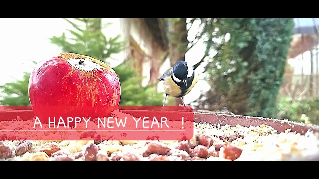 A HAPPY NEW YEAR ! - YouTube