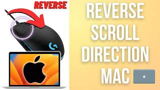 How to Reverse Scroll Wheel Direction on Mac