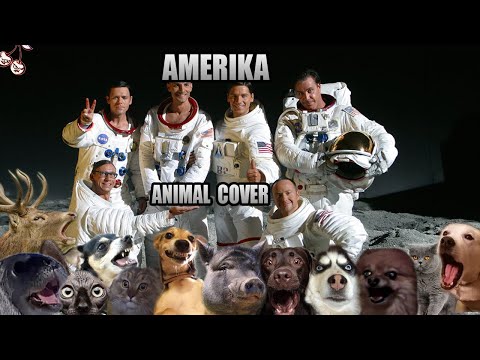 Rammstein - Amerika Animal Cover