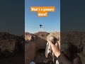 DOVE CAPITAL OF THE WORLD YUMA ARIZONA DOVE Arizona Yumaaz Hunt Dove 