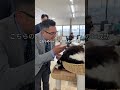 会社猫ふくの日常😸どんな業務でもこなすふくですが、来客対応も大得意です✨こちらのペースに引きずり込んで相手を意のままにします👍#株式会社日章 #会社猫 #来客対応