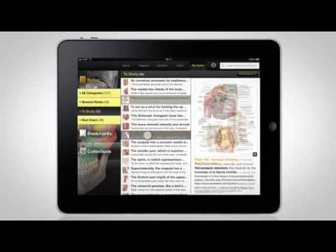 Netters Neuroscience Flash Cards 2e Netter Basic Science Pdf