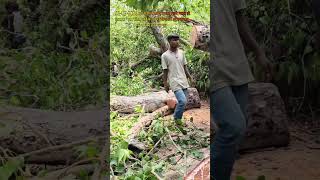 🛖 गांव घर की तूफान🌳#photography #exploro #gowon #trendingreeltutorial #2026short #☘️