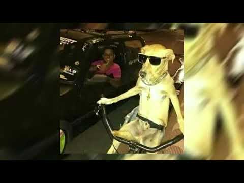 Fast Rap Trap Rap Beat Instrumental