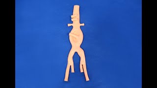 Hydrogel Abdominal Aortic Aneurysm Model Hydrogel Model Abdominal Model