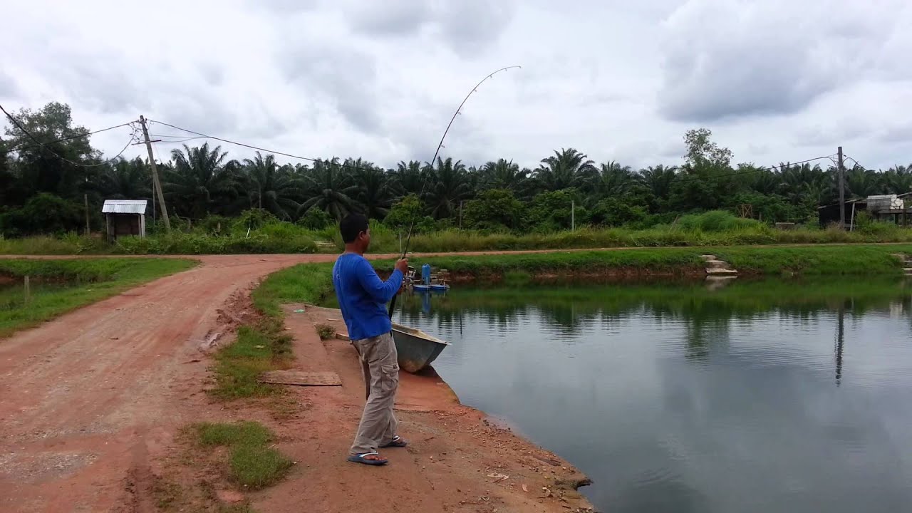 Bary TENGGULUN.FISHING IN BEDONG