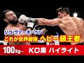 迫力のメガトンパンチ!! これがヘビー級王者だ!! リコ・ヴァーホーベン 100kg～ Rico Verhoeven HIGHLIGHTS