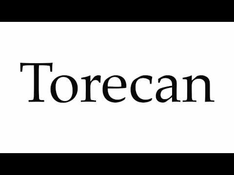 Videó: Torecan