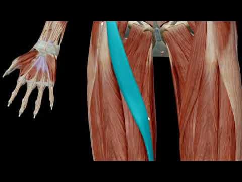 Diana Doll ishtirokidagi porno videolar