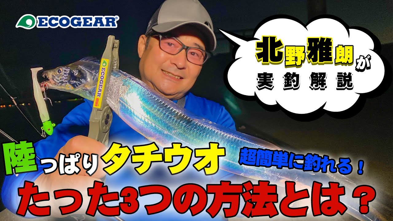 陸っぱりタチウオ 釣りに行く前にチェックしておきたい 超簡単に釣れるたった3つの方法とは Youtube