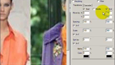 Swishmax Transform ve Cascade effect panelleri