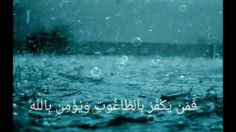 اية الكرسي بصوت القارئ بیشەوا قادر الکردی