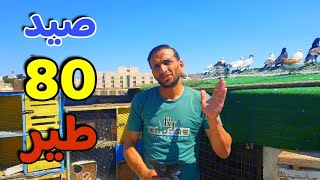 80 طير صيد مع القدوسي 💥😱