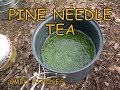 The Woodsman's Drink: Pine Needle Tea