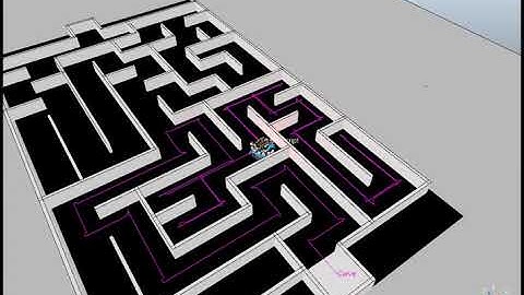 Copelliasim maze solving with right hand method