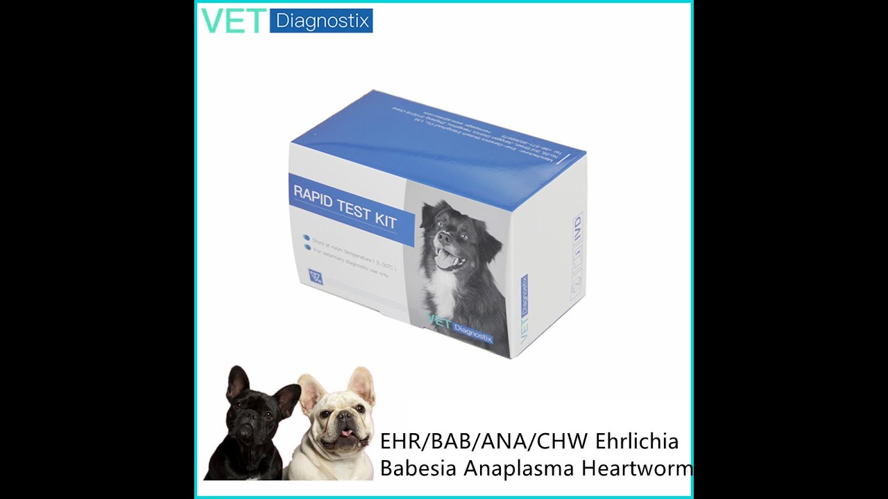 Tickborne Disease test Canine Ehrlichia Babesia Anaplasma Heartworm