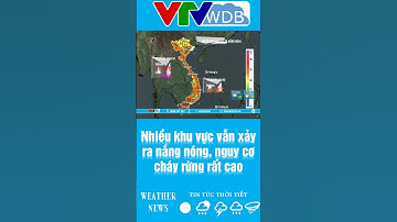 Nhiều khu vực vẫn xảy ra nắng nóng, nguy cơ cháy rừng rất cao | VTVWDB