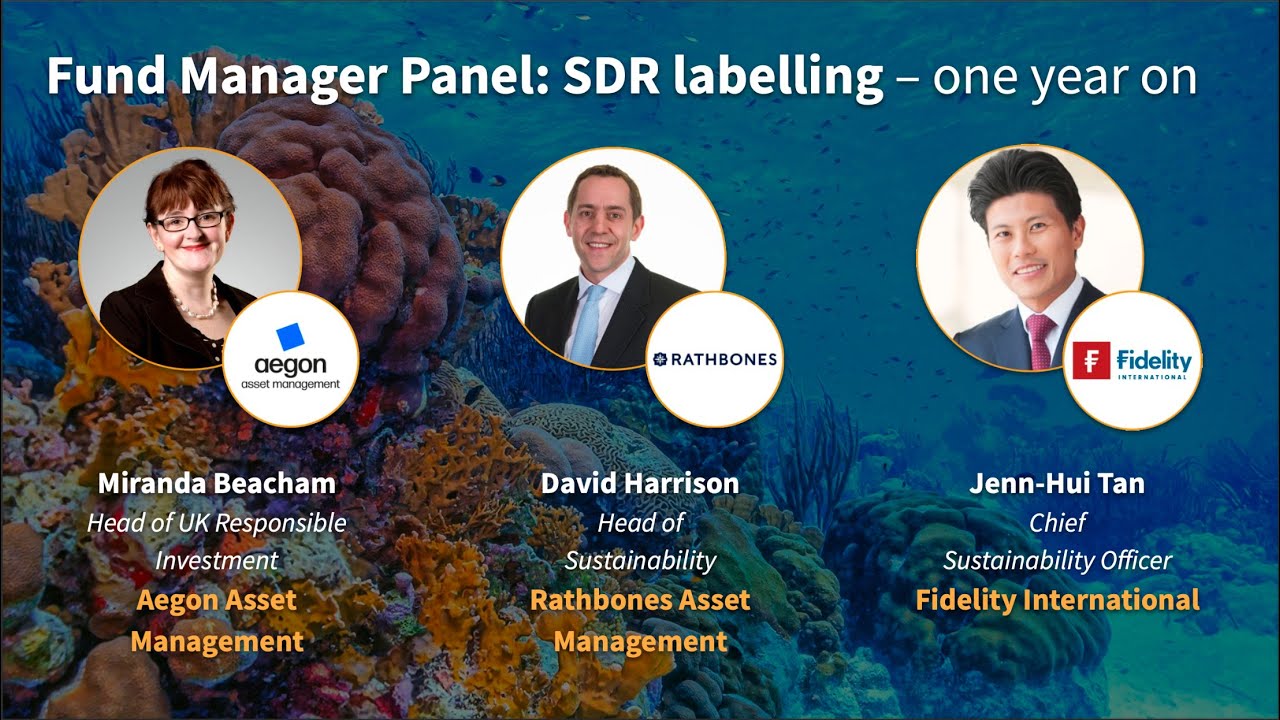 Fund Manager Panel:  ‘SDR labelling – one year on’ - SRI Services & Fund EcoMarket