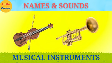 Musical Instruments Names and Sounds for Kids to Learn | Educational Video