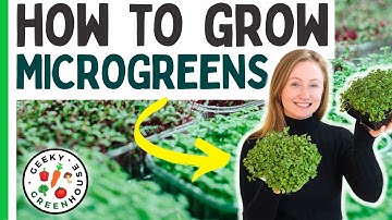 How To Grow Microgreens (For Beginners)