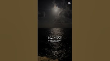 قران كريم #المصحف #quran #راحة_نفسية #لايك #قرآن