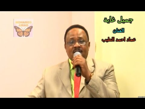 عماد احمد الطيب جميل غاية