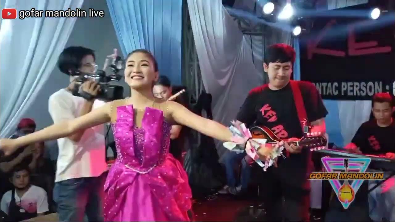 GOFAR MANDOLIN LIVE YouTube