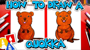 How To Draw A Quokka Wallaby
