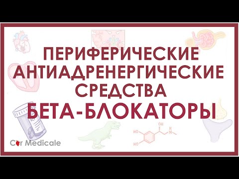 Бета-адреноблокаторы - препараты, механизм действия, показания, побочные эффекты