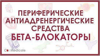 Бета-адреноблокаторы - препараты, механизм действия, показания, побочные эффекты