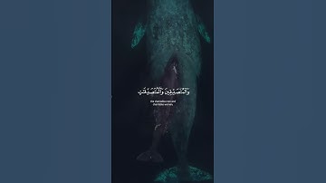 القرآن الكريم #اكسبلور #المصحف #تيك_توك #الرحمن #ترند #البرزخ #قصص #القزابري #قصص_واقعية #النظافه