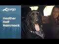 Heather Half Hammock | Share the backseat with your dog