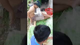 Download Lagu Klik video ini, anda tidak akan menyesalinya! https://snackvideo.social/p/MjFc1clE MP3