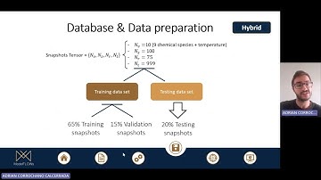 Hybrid ROM for Time Prediction Combining SVD and Neural Networks for Fluid Flow Prediction