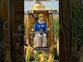 Viral Harvesting Machine! Worth It or Just a Gimmick? 🌽🔥 #Shorts@safrianiibrahim13
