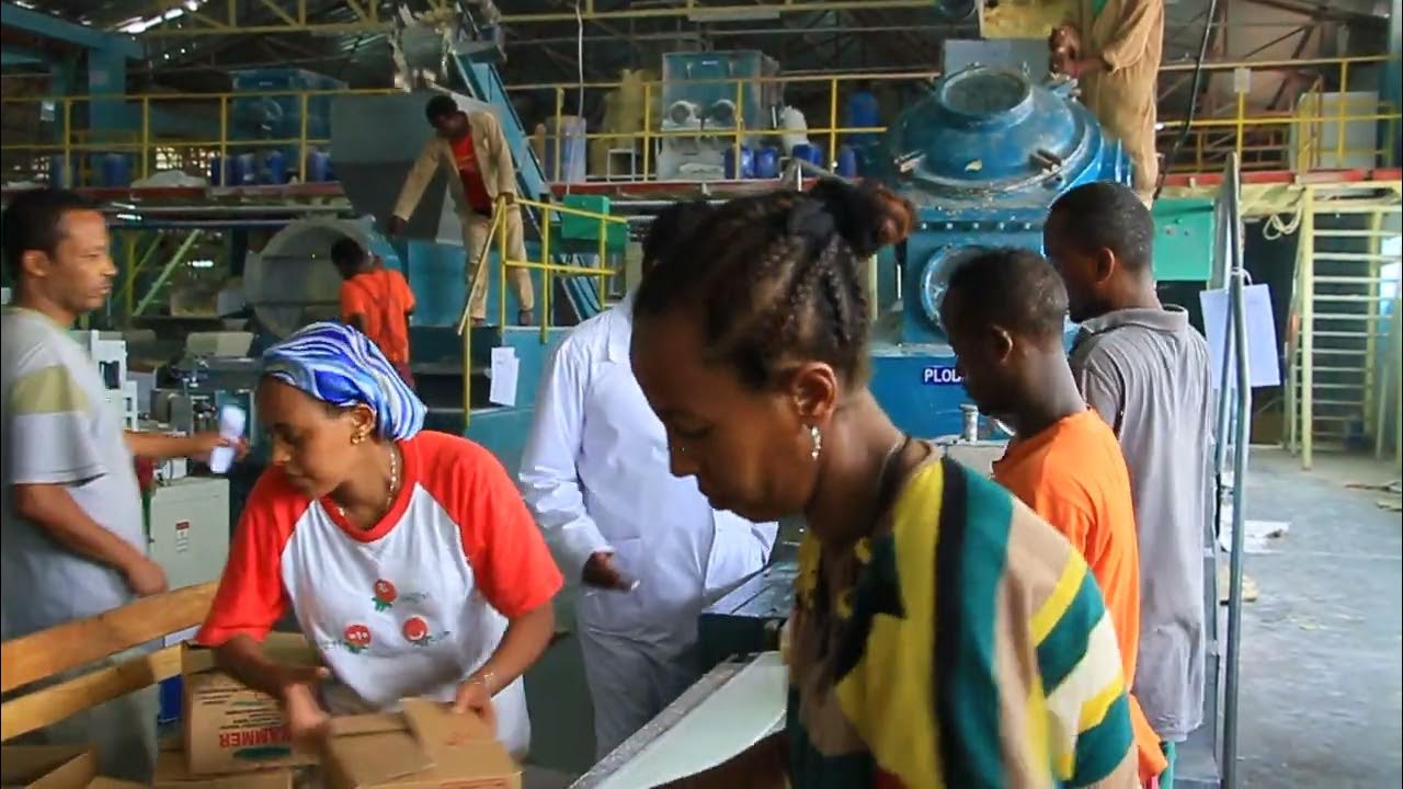 Hawassa ETAB SOAP FACTORY YouTube