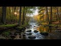 Serene River Water 🌿 Gentle Flowing Ambience for Sleep, Calm, and Meditation #685
