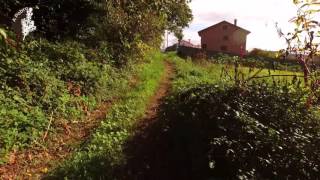 A MIRANDELA - A FIGUEIRA