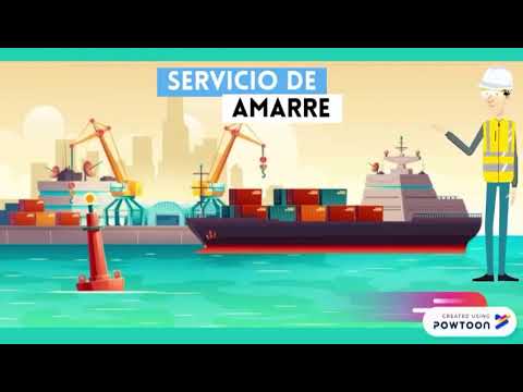 Servicios portuarios // Docente Araque