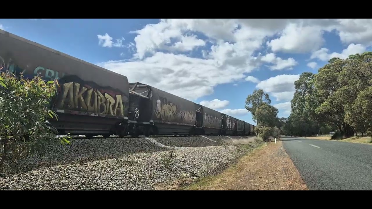 CBH 023 & 004 with loaded ng grain Railway Pde, HERNE HILL.