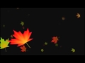 18+ Fall Animated Background Gif