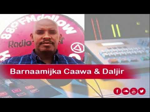 Caawa & Daljir iyo Cabdifataax Cumar Geedi, Daljir Doolow