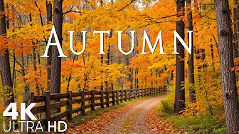 4K Gentle Piano, Relaxing Music For Stress Relief 🍁 Autumn Melodies for Serenity & Emotional Healing