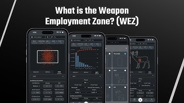 What is the Weapon Employment Zone (WEZ)?