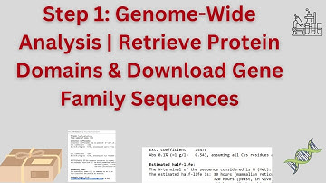 Step 1: Genome-Wide Analysis – Retrieve Domains from Genes & Download Gene Family Sequences