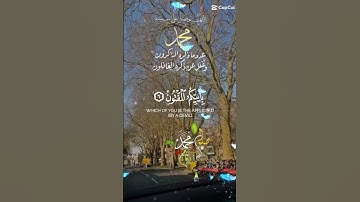 تلاوة عطرة مباركة جميلة عذبة خاشعة مميزة طيبة للشيخ سعد الغامدي ماتيسر من سورة القلم