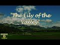 The Lily of the Valley | Hymn | Lyric Instrumental | Slow Speed