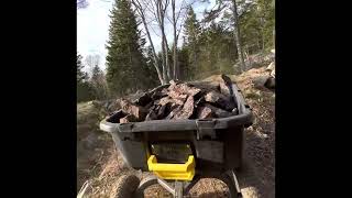 Gorilla Carts are tough here’s why
