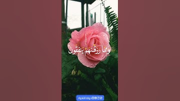 ٱلَّذِينَ يُؤۡمِنُونَ بِٱلۡغَيۡبِ وَيُقِيمُونَ ٱلصَّلَوٰةَ #المنشاوي #سورة_البقرة #خشوع