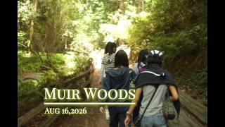 Muir Woods | Trails | Shuttle in Larkspur | Golden Gate Ferry | SF